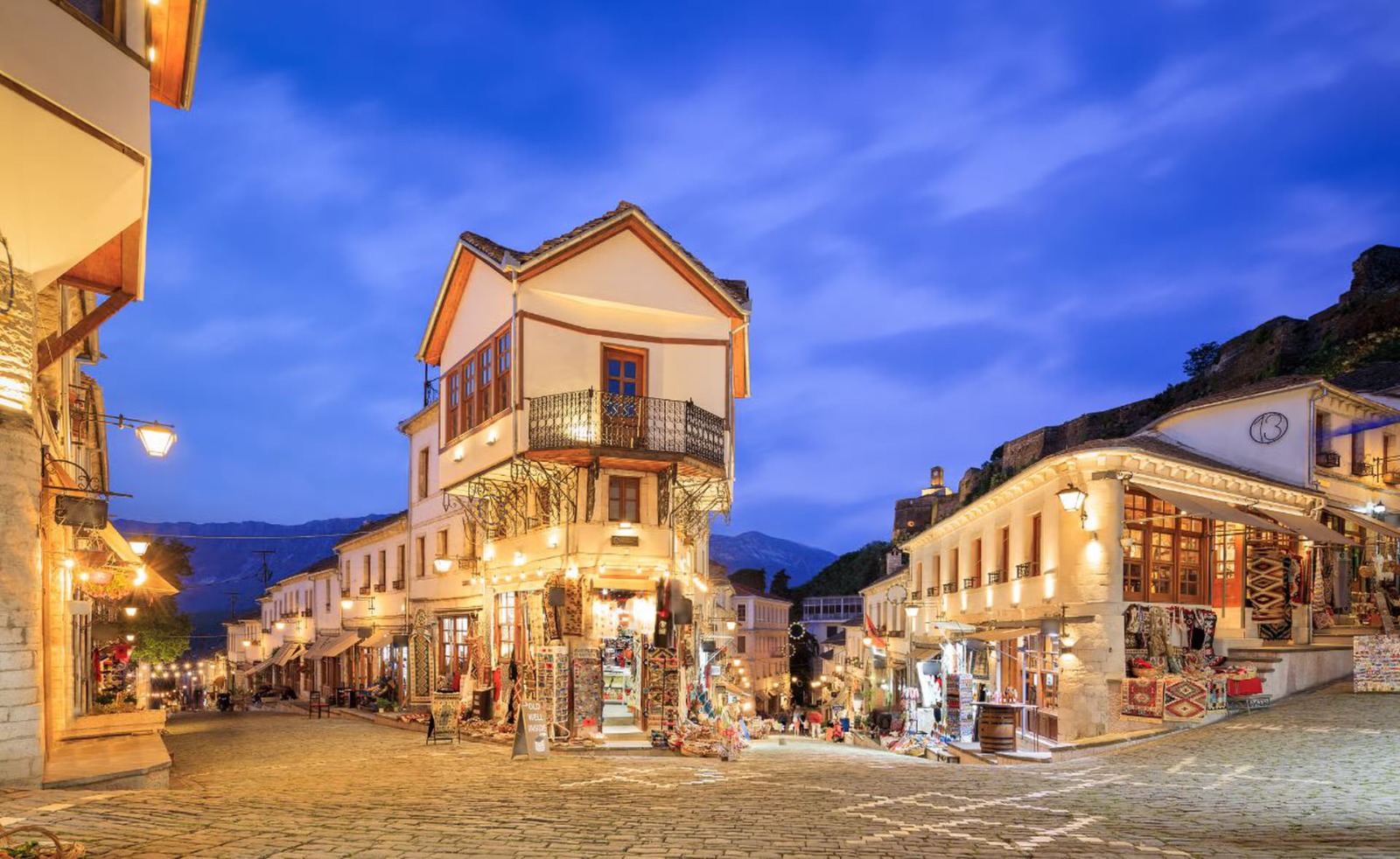 Professor and student at computer